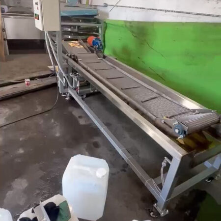 Conveyor Fryer