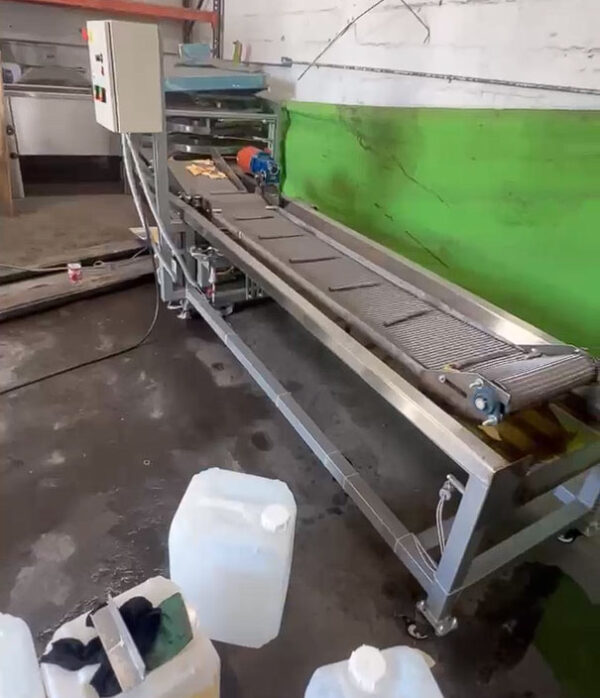 Conveyor Fryer